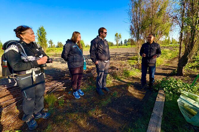 Prehispanic Xochimilco: Market, chinampas and axolotls - Why This Tour is Worth Considering