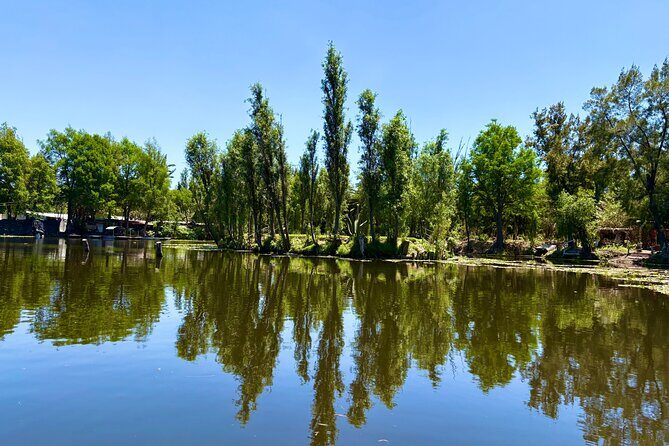 Prehispanic Xochimilco: Market, chinampas and axolotls - The Sum Up