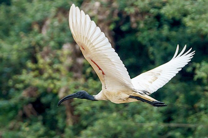 Prek Toal Birds Sanctuary and floating Village Private Day Tour - An In-Depth Look at the Itinerary