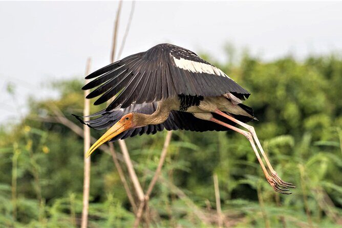 Prek Toal Birds Sanctuary and floating Village Private Day Tour - FAQ