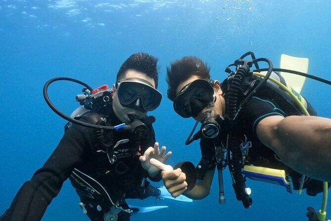 Premier Dive Spots Experience in Kushimoto - Final Thoughts – Why This Tour Offers Genuine Value