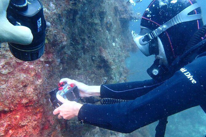 Premier Dive Spots Experience in Kushimoto - FAQ – Your Questions Answered