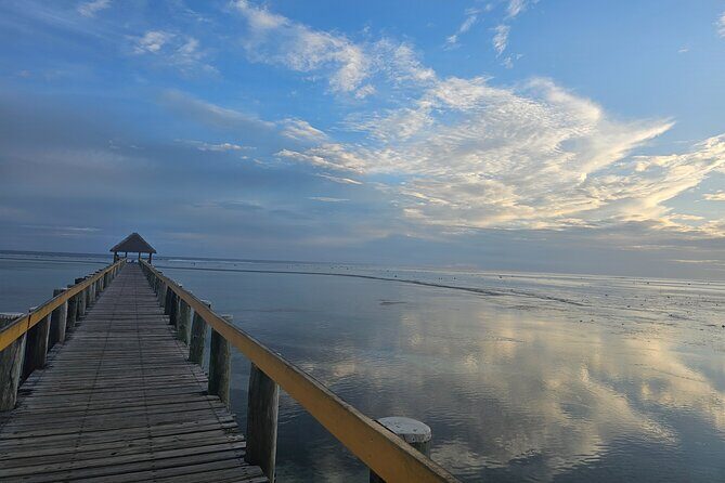Premier Transfers and Tours Fiji - A Closer Look at the Experience