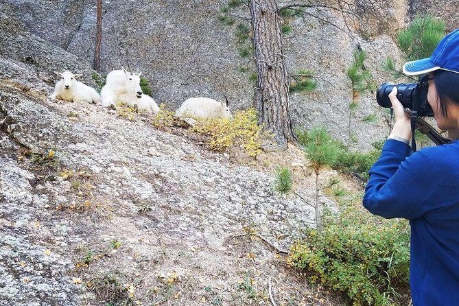 Premiere Private Black Hills Tour: Mt Rushmore, Crazy Horse & Custer State Park - How the Tour Works: An In-Depth Look