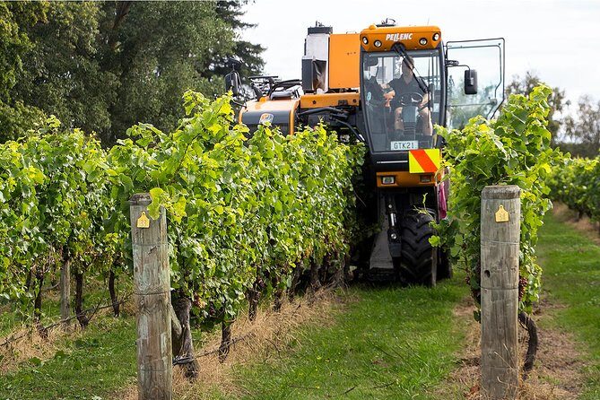 Premium 4 -Best Wineries Napier Hawke's Bay Tour, 5.5h - 6Hours - Key Points
