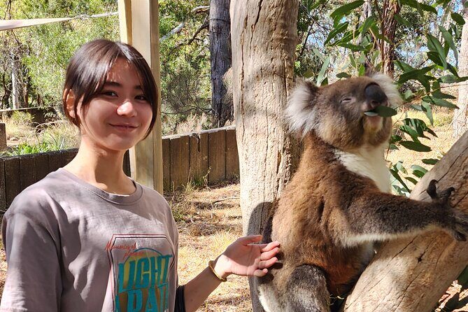 Premium Adelaide Hills Cleland Wildlife and Hahndorf Minibus Tour - FAQ