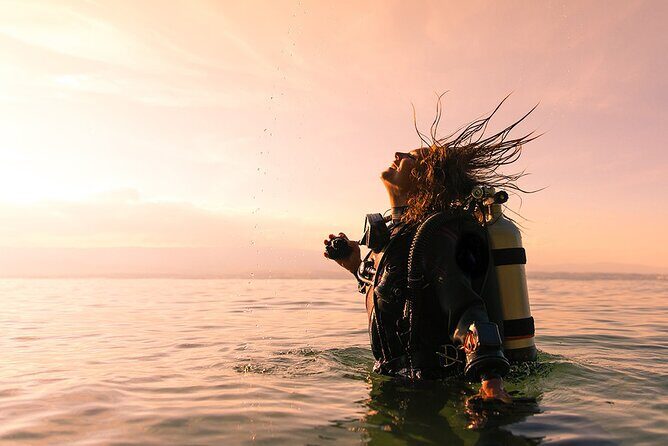 Premium Afternoon Scuba Charter for All Certified Diver Levels - Who Should Consider This Tour?