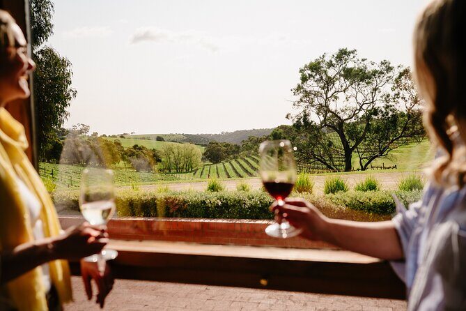 Premium All-Inclusive McLaren Vale Wine and Brew Minibus Tour - A Practical Look at the Premium All-Inclusive McLaren Vale Wine and Brew Minibus Tour