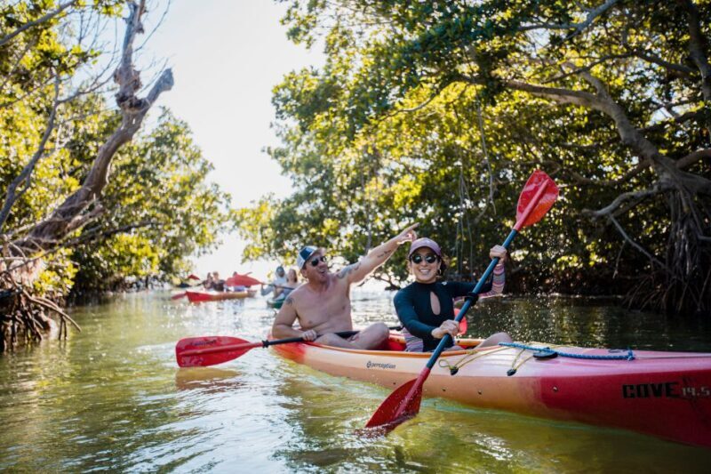 Premium Day Sail, Snorkel &, Kayak with Lunch - Key Points