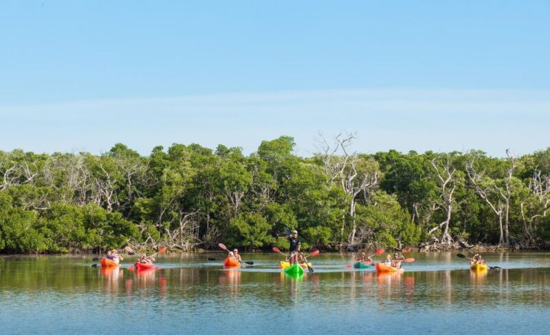 Premium Day Sail, Snorkel &, Kayak with Lunch - Final Thoughts