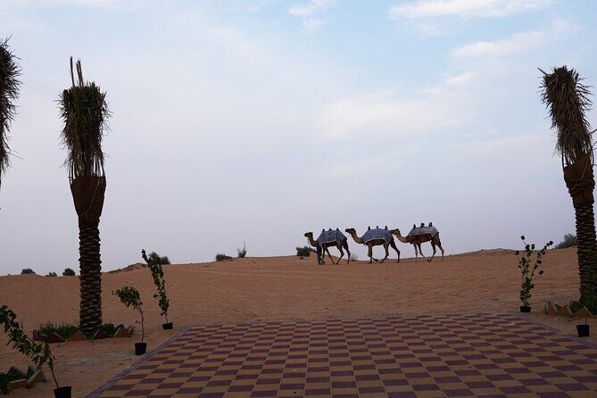 Premium Deluxe Dubai Safari with Camel Ride, Sandboard & BBQ - Who Should Book This Tour?