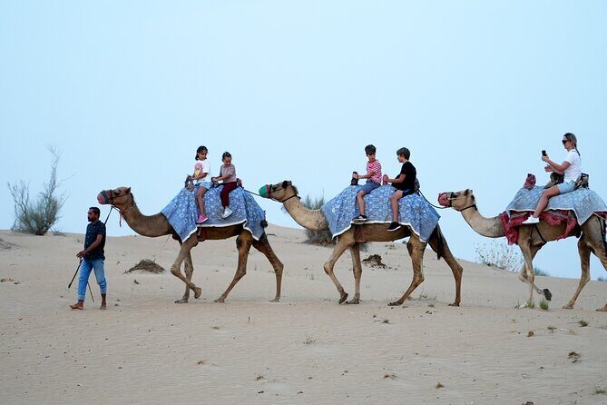 Premium Deluxe Dubai Safari with Camel Ride, Sandboard & BBQ - FAQs