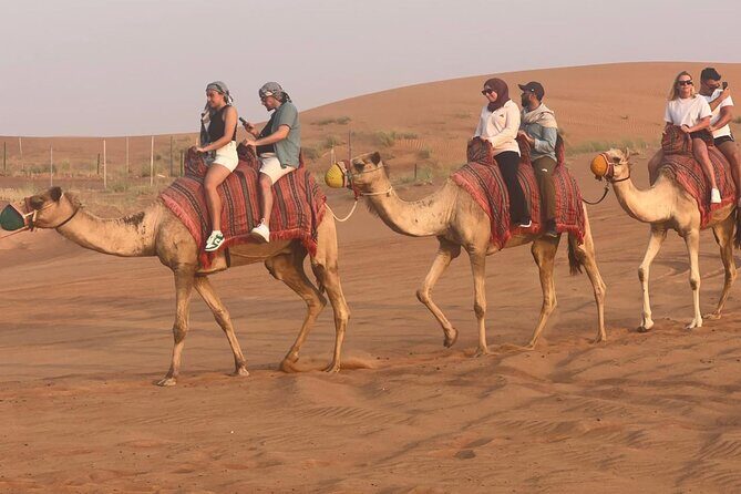 Premium Desert Quad (ATV) Bike Ride Adventure & Sand boarding - What You Can Expect from the Tour