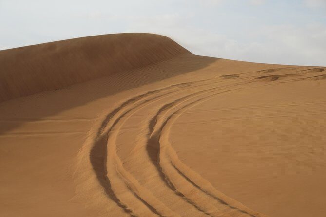 Premium Desert Safari, Barbeque, 3 Shows, Camel ride, Sand-board at Bedouin camp - Exploring the Itinerary: From Dunes to Dinner and Shows
