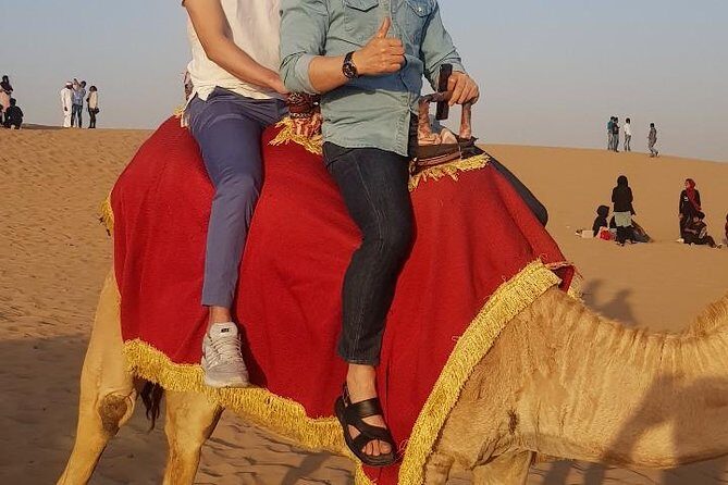 Premium Desert Safari, Barbeque, 3 Shows, Camel ride, Sand-board at Bedouin camp - Transportation, Timing, and Practicalities