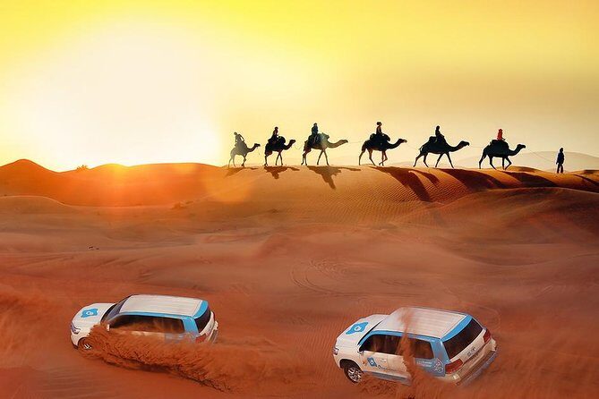 Premium Desert Safari with 45 Minutes of Dune Bashing, BBQ Dinner & Belly Dance - Analyzing the Value
