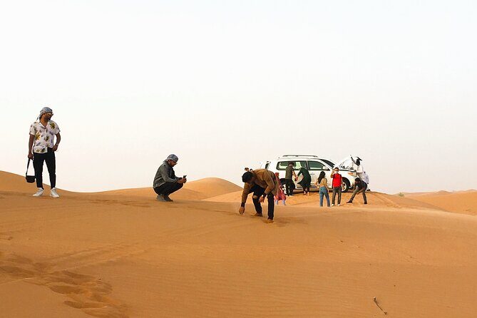 Premium Dubai Desert Safari 4x4 with BBQ Dinner - A Practical Guide to the Premium Dubai Desert Safari 4x4 with BBQ Dinner