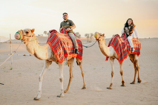 Premium Dubai Desert Safari with Dune Bashing, BBQ, Live Shows - The Itinerary Breakdown: What to Expect