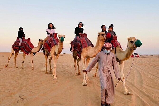 Premium Dubai Red Dunes with quadbike, camel ride and VIP Dinner - Final Thoughts: Who Should Consider This Tour?