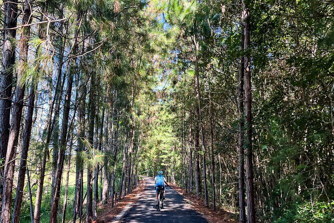 Premium E Bike Hire at the Northern Rivers Rail Trail - An In-Depth Look at the Northern Rivers Rail Trail E-bike Experience