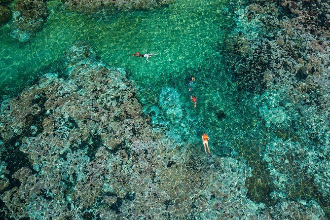 Premium Family Snorkeling Experience - A Practical Breakdown of the Tour