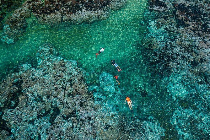 Premium Family Snorkeling Experience - The Balance of Cost and Value