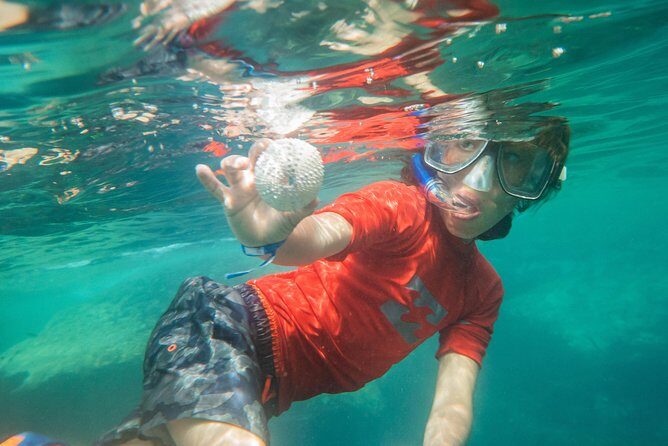 Premium Family Snorkeling Experience - Who Would Enjoy This Tour?