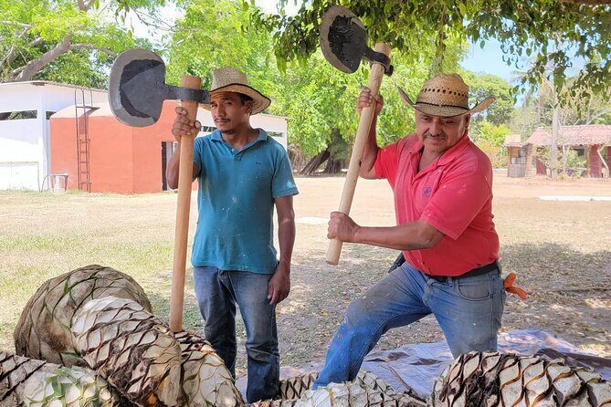 Premium Finca 18 Tequila Tour & Chocolate Pairing + Pickup Points - Key Points