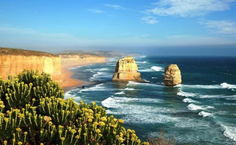 PREMIUM Great Ocean RD Tour REVRS-Dlux MINIBUS-Hotel PickUP - Practical Details: What You Need to Know
