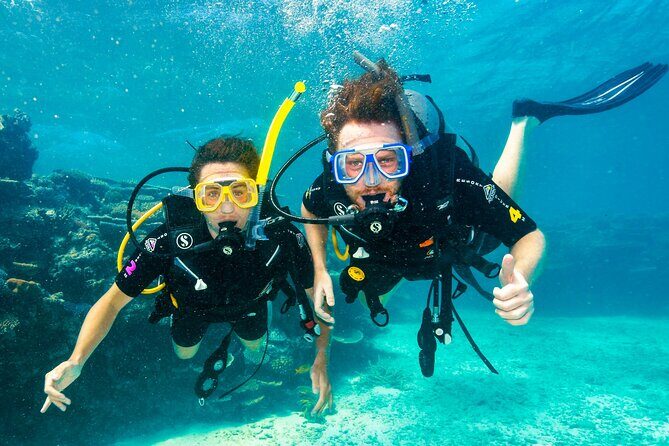 Premium Guided Dive Trip - Outer Great Barrier Reef - Key Points