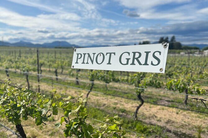 Premium Hood River Wine Tours - Potential Drawbacks