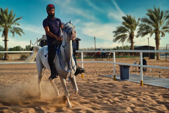 Premium Hot Air Balloon, Breakfast, Camel Ride, Quad Bike & More - Who Is This Tour Best Suited For?