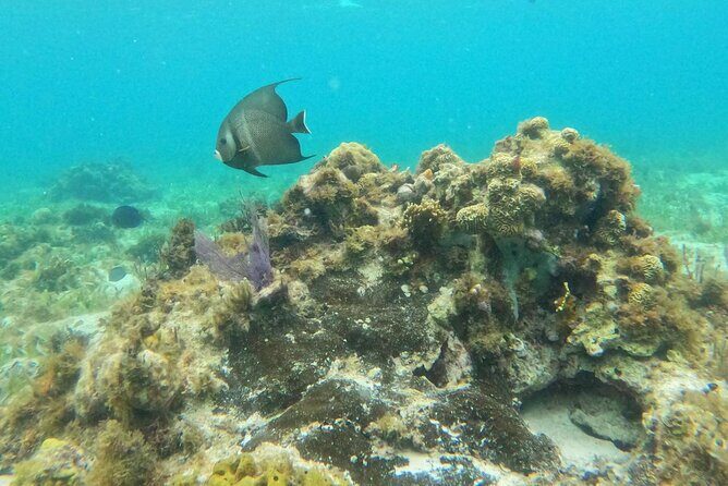 Premium Isla Mujeres Tour by Private Catamaran - FAQ