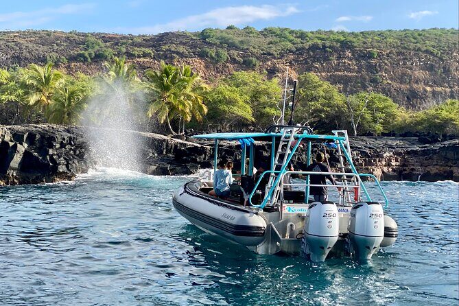 Premium Kona Coast Morning Snorkel - In The Sum Up