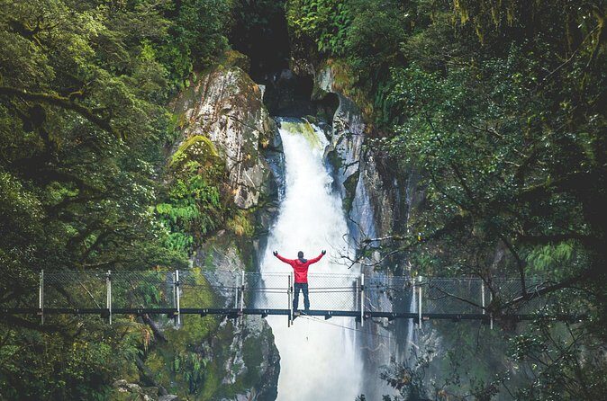 Premium Milford Sound Cruise & Milford Track Walk From Te Anau - Who Should Consider This Tour?