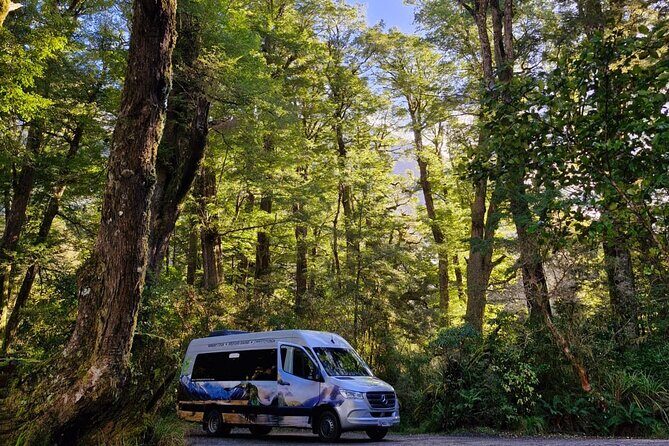 Premium Milford Sound Small Group Tour & Cruise from Queenstown - Who Is This Tour Best For?