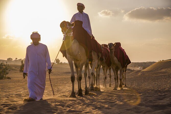 Premium Morning Red Dunes with Quad Bike - Key Points
