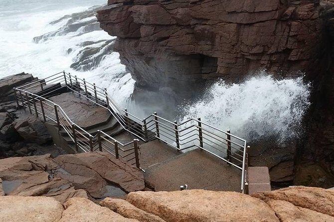 Premium Narrated Bus Tour of Bar Harbor and Acadia National Park (3.5 Hours) - The Value of the Tour