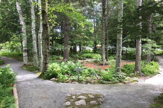Premium Narrated Bus Tour of Bar Harbor and Acadia National Park (3.5 Hours) - The Sum Up