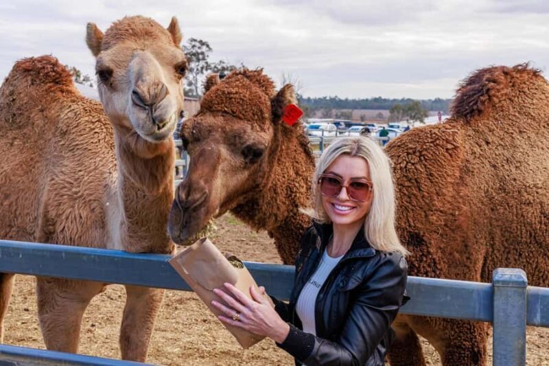 Premium Paddock to Plate Experience - The Sum Up: Who Should Consider This Experience?