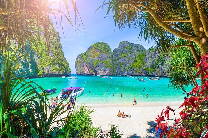 Premium Phi Phi, bamboo island tour Speed Catamaran - Authentic Experience and What You Can Expect