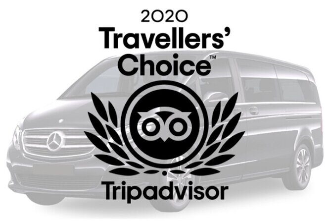 Premium Private Transfer FROM Sydney CBD/Downtown to Sydney Airport 1-11 people - Who Should Consider This Service?