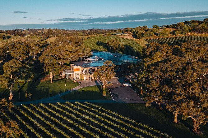 Premium Private Winery Tour: Customizable Experience - Who Should Consider This Tour?