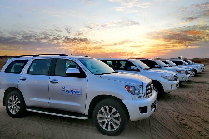 Premium Red Dune Safari, Sandboarding, Camel Ride, 5* BBQ Dinner - Who Is This Tour Best Suited For?