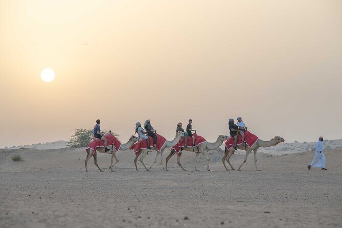Premium Red Dunes Bashing with Quad Bike, Camel, Falcon &VIP Camp - Pickup and Transportation