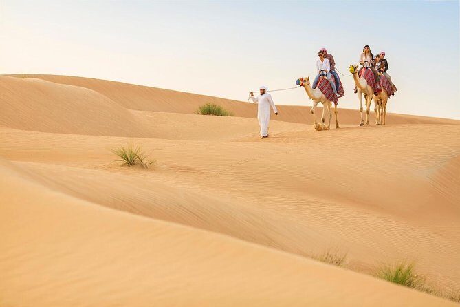 Premium Red Dunes Safari and Camel Safari with BBQ Dinner - Key Points