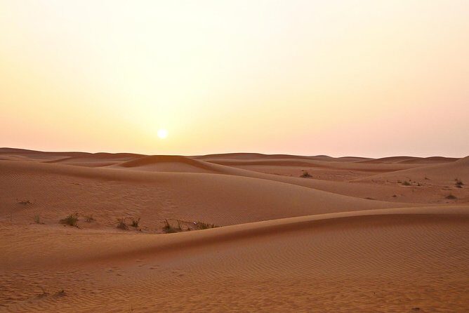Premium Red Dunes Safari and Camel Safari with BBQ Dinner - The Cultural and Leisure Highlights