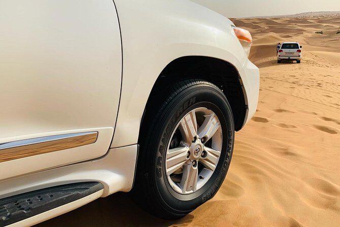 Premium Red Dunes Safari and Camel Safari with BBQ Dinner - Practical Tips for Your Desert Adventure