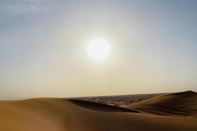 Premium Red Dunes Safari and Camel Safari with BBQ Dinner - Who Is This Tour Best For?