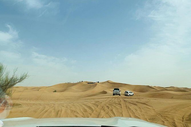 Premium Red Dunes Safari and Camel Safari with BBQ Dinner - Final Thoughts